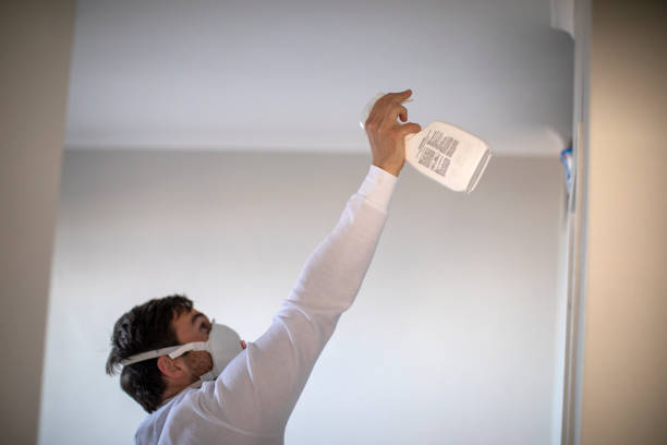 Best Fast Mold Removal  in Rion Center, MA