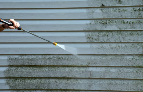 Best Attic Mold Removal  in Rion Center, MA