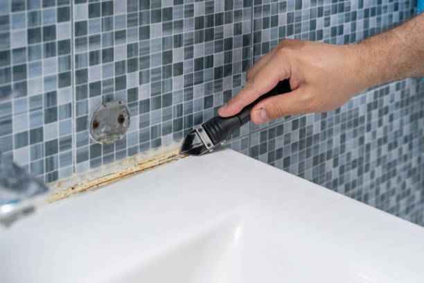 Best Commercial Mold Removal  in Rion Center, MA